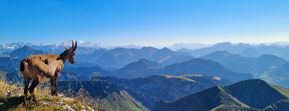 Plein de photos en vracs